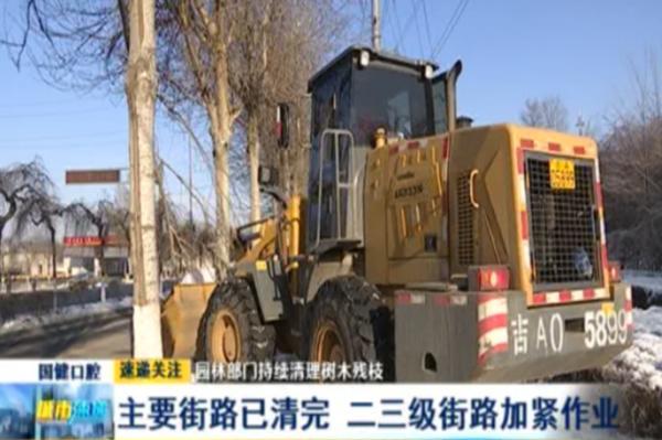 长春主要街路树木残枝已清完二三级街路加紧作业 长春 极端天气 绿园区