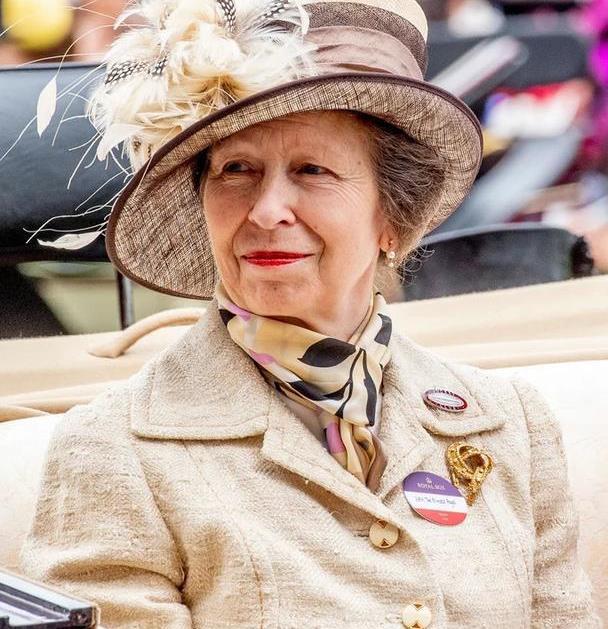 不输戴安娜王妃的王室公主,英女王女儿太精致,70岁身材够苗条_腾讯