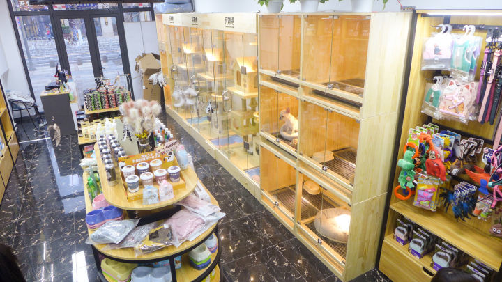 给大家安利一家北京超nice的宠物店