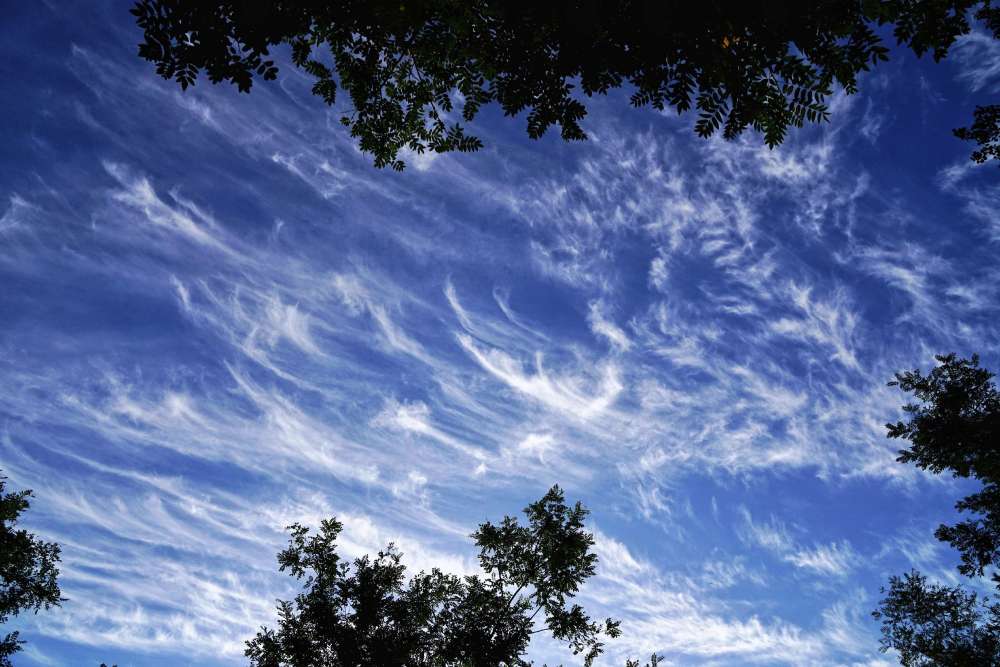 抬頭仰望天空