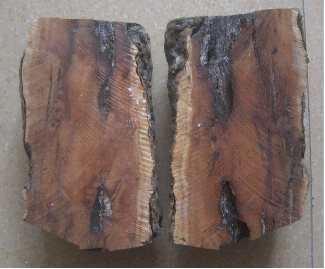 经常有商贩来农村高价收雷击枣木雷击枣木有啥用如何辨真假