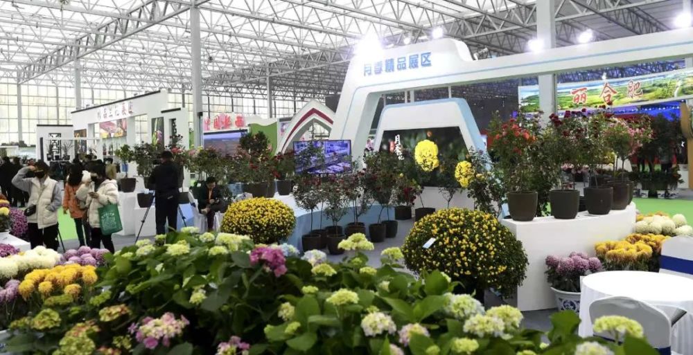 记者从大会组委会获悉,本届合肥苗交会和省花博会首次同台举办,线上线