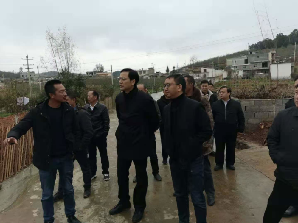 园区管委会主任晏正权,县委常委,县委办主任,龙头山镇党委书记李善云