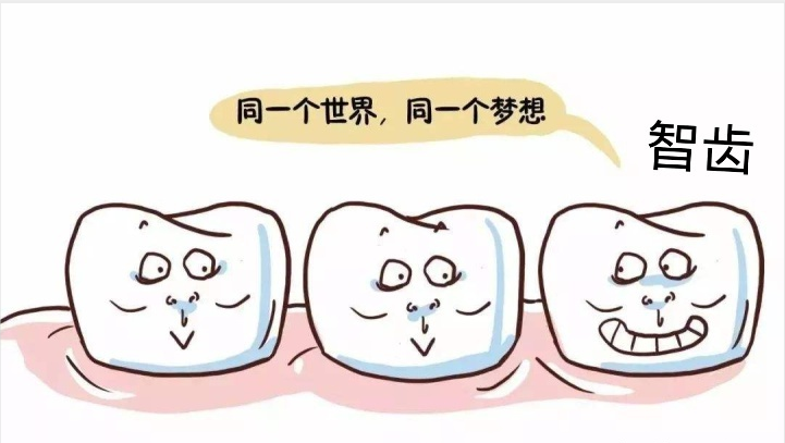 遇到这些情况 智齿一定要拔掉 腾讯新闻