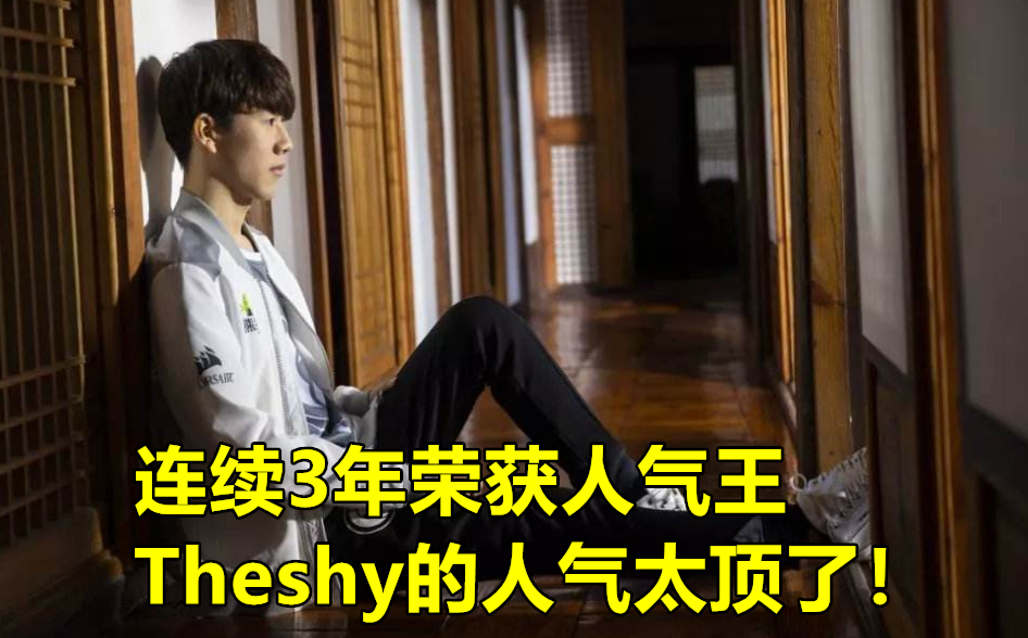 theshy连续3年当选lpl人气王宁王却荣光不再笑笑的点评很真实
