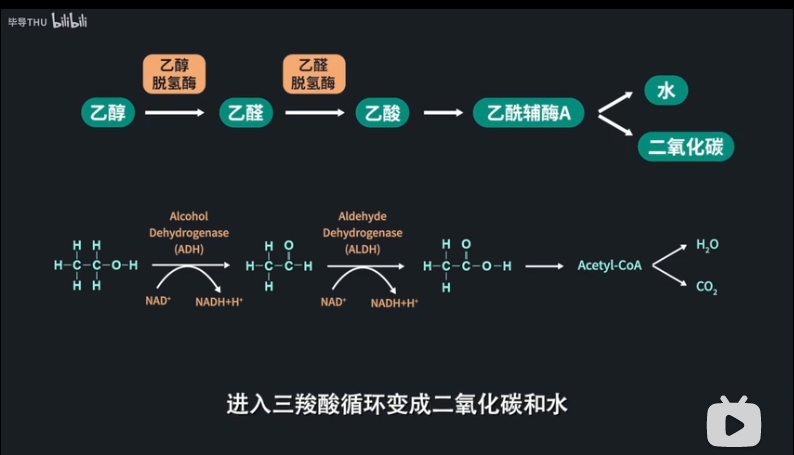 脸红,脸白,脸青,这三种酒后脸哪种更伤肝?