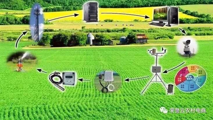 阿里巴巴"云钉一体"数字乡村解决方案入选10大智慧农业新技术应用模式