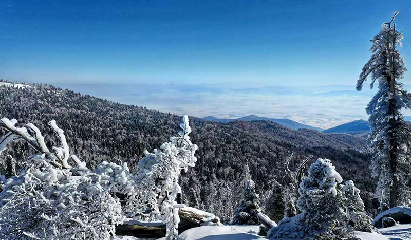 摄影名家赵春江吉林的顶子之美老爷岭
