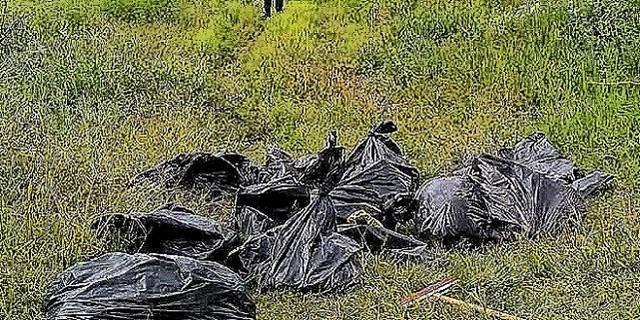 墨西哥毒枭常年往森林里抛尸,导致森林恶臭难闻,满地人体残骸