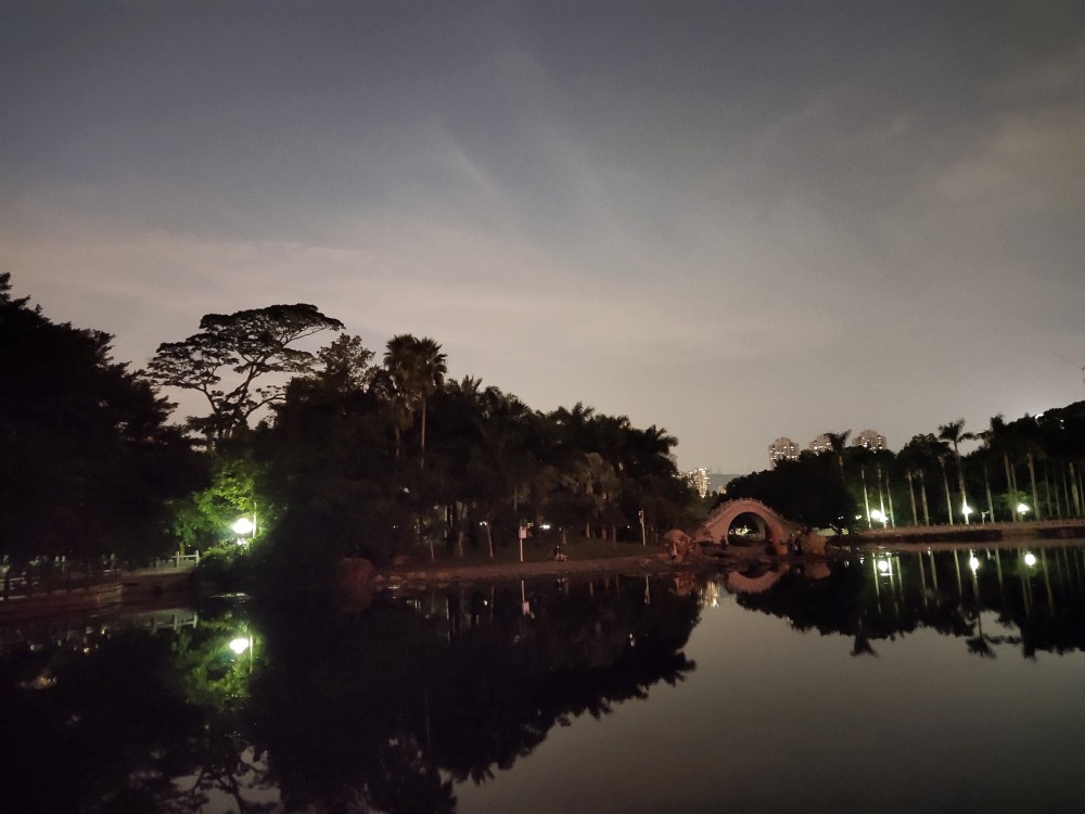 美丽而安静的福田荔枝公园夜景._腾讯新闻