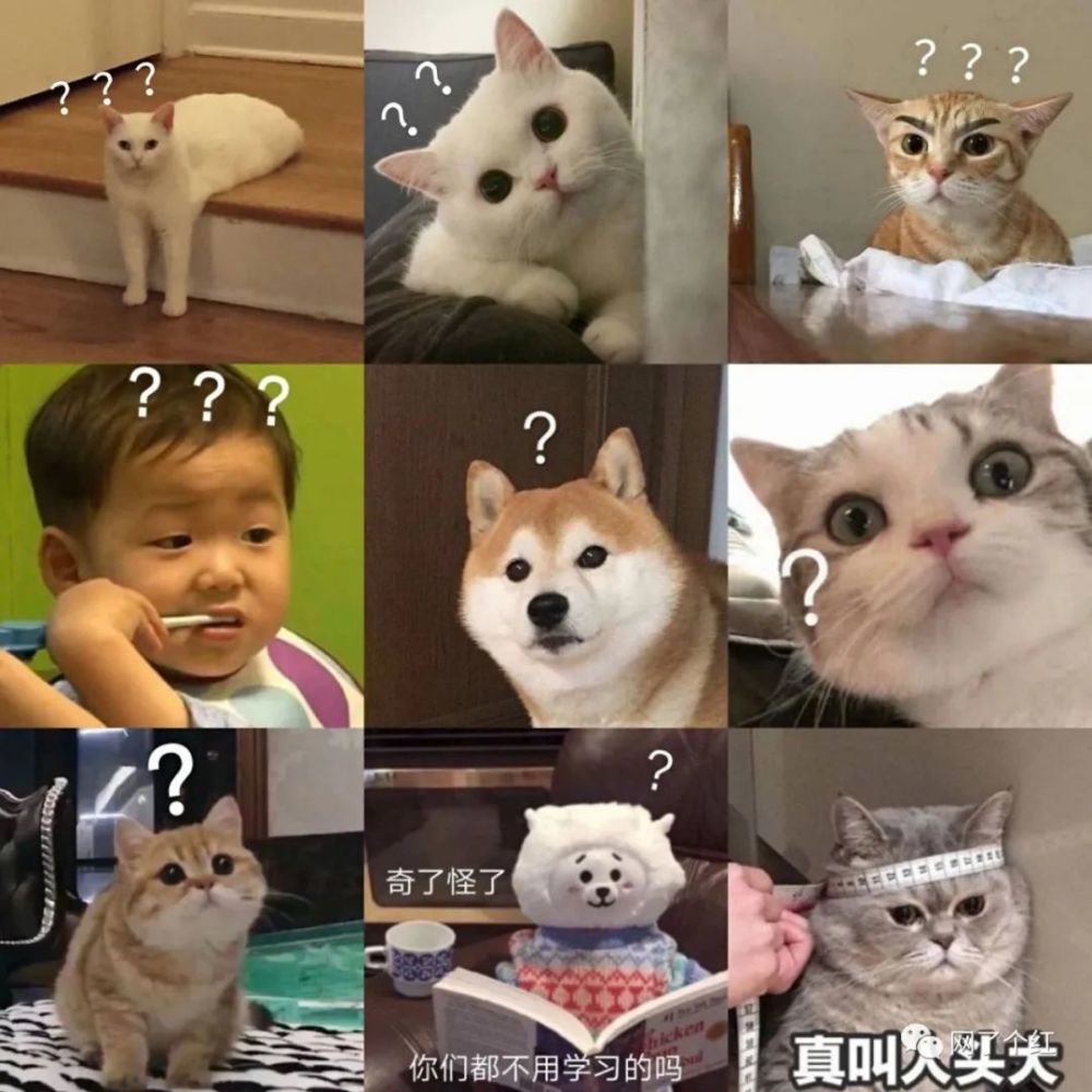 分手吧算命先生说我要处满七七四十九个女友