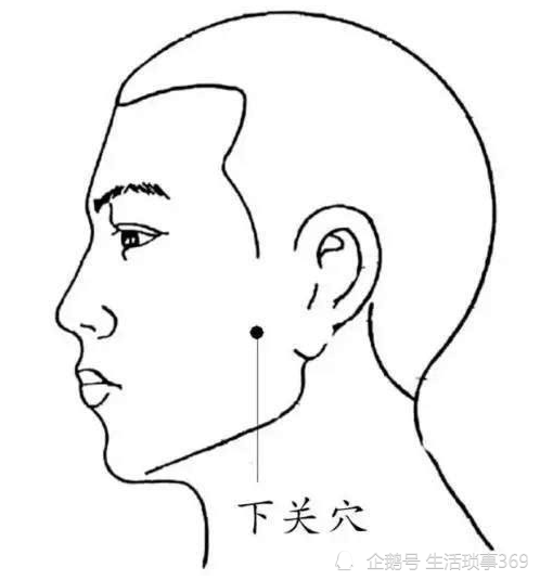 下关穴位颊车穴位关注生活琐事369,分享更多干货.