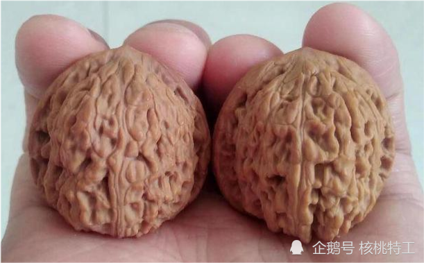 150种文玩核桃品种分享之29:红宝石狮子头