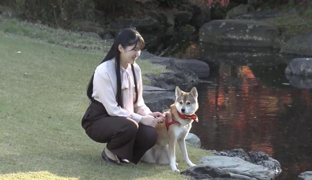 爱子公主迎19岁 穿粉色雪纺衫清新 神似雅子皇后 与纪子妃家风评成对比 小室圭 爱子公主 爱子 雪纺衫 纪子妃 皇后