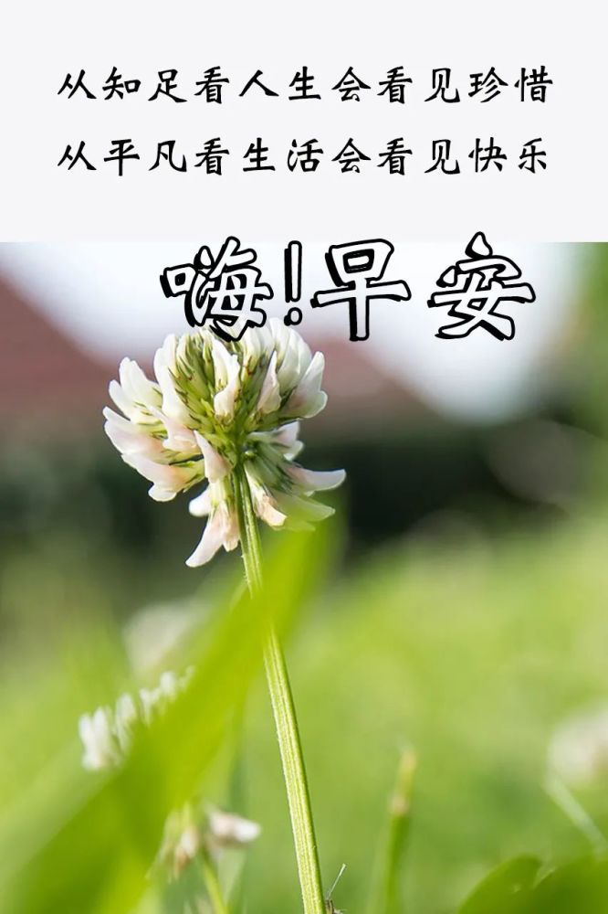 早上好问候语温馨 祝福早上好的句子_腾讯新闻