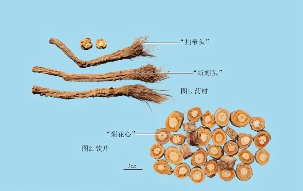 清风典历|汉之得人,于兹为盛——汉武帝的求贤令