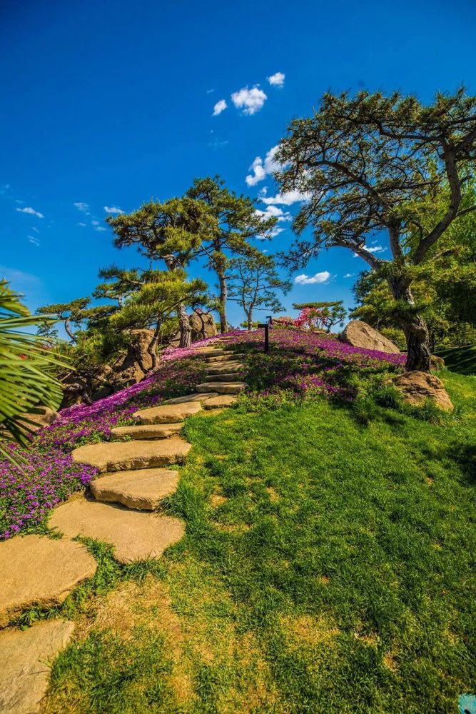 一带一路峰会北京雁栖湖夏园景观改造源树景观规划设计事务所