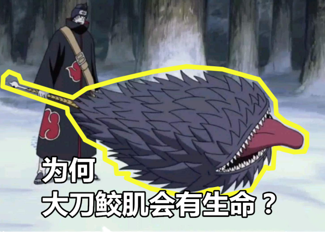 七把忍刀中,为何大刀鲛肌会有生命?三尾:它本是我身上的寄生虫|寄生虫