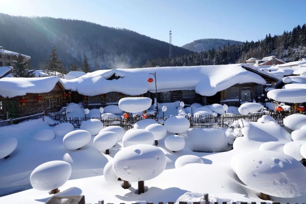 雪乡里一幢幢小木屋顶着绵绵厚厚的雪被,像极了生日蛋糕上包裹着的