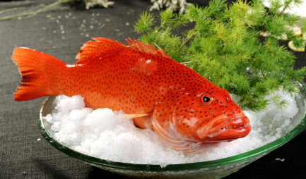 国宴上的东星斑是怎么做的呢