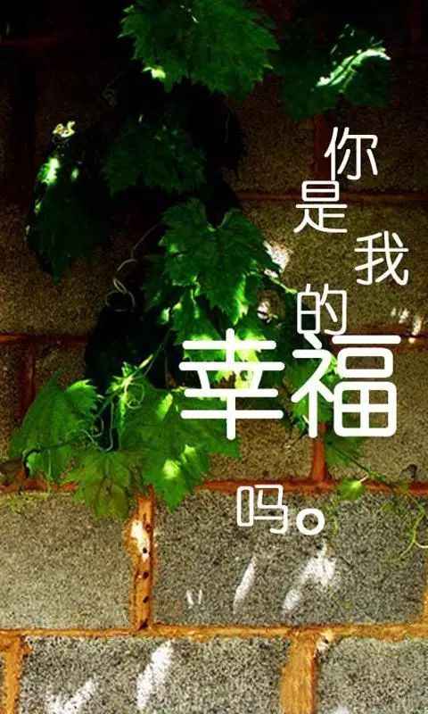 4,不論你願不願意承認,一生愛過的大部分人,都會從陌生變得熟悉,又再