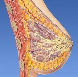 肿瘤专家于加军女性乳腺瘤的症状