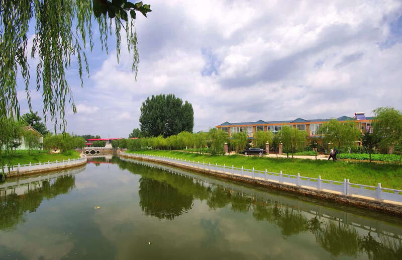走进河南省漯河市临颍县大郭镇胡桥村,一栋栋新式小别墅,寄宿式小学