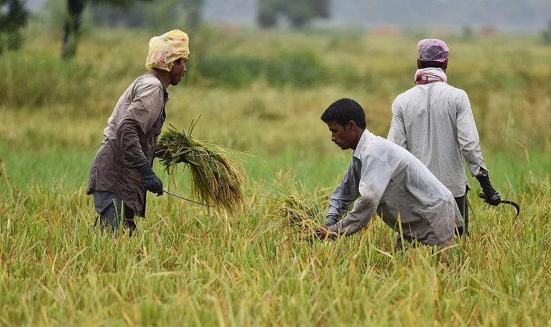 莫迪政策出现大问题?印度民众情绪大爆发,不顾疫情抗议新农业法