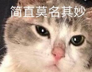 萌宠表情包奇怪的知识又增加了