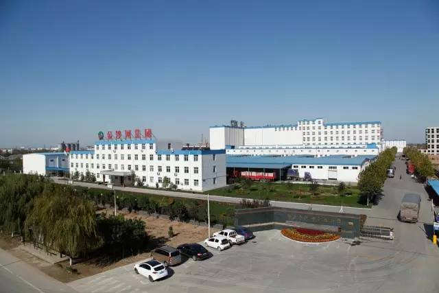 金沙河面业集团