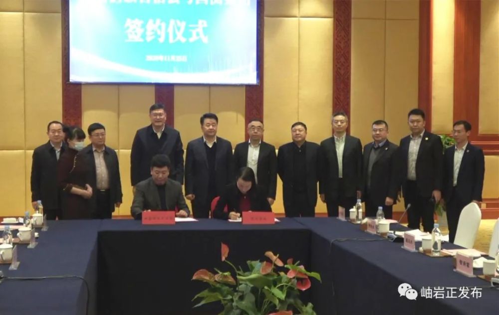 杜强率团赴京与北京国测集团签订岫岩玉产业合作发展协议