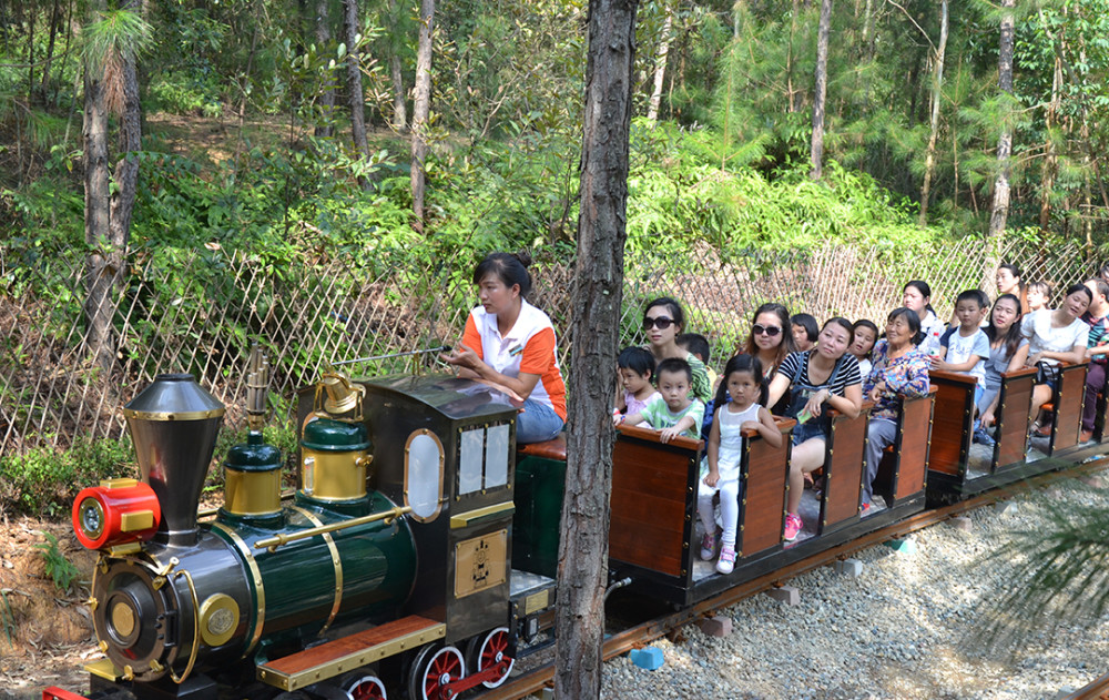 适合建设在森林里的游乐项目有哪些