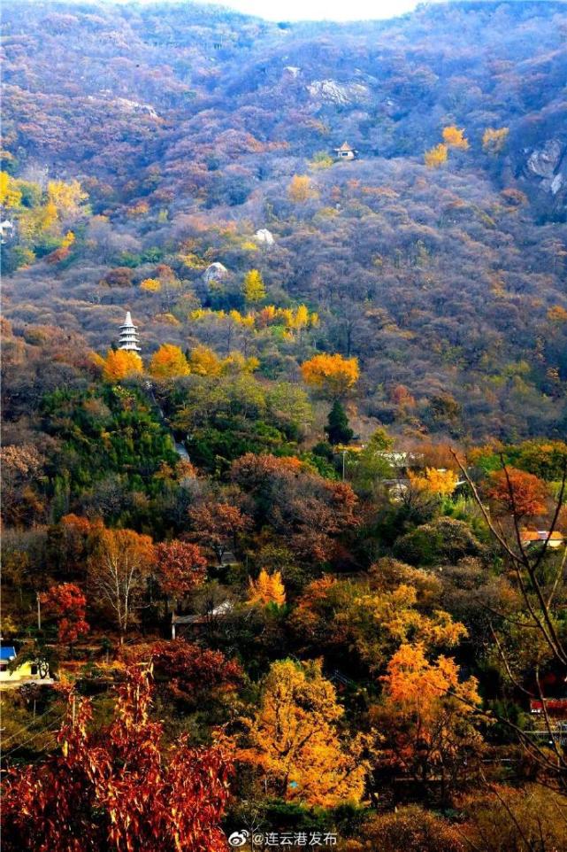 初冬别样花果山