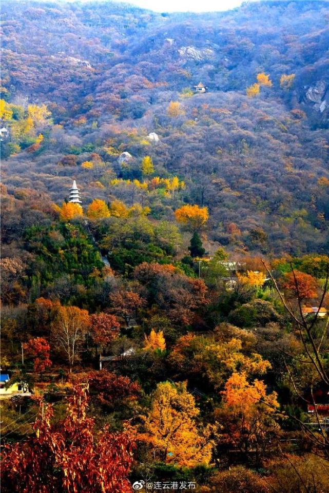 初冬别样花果山