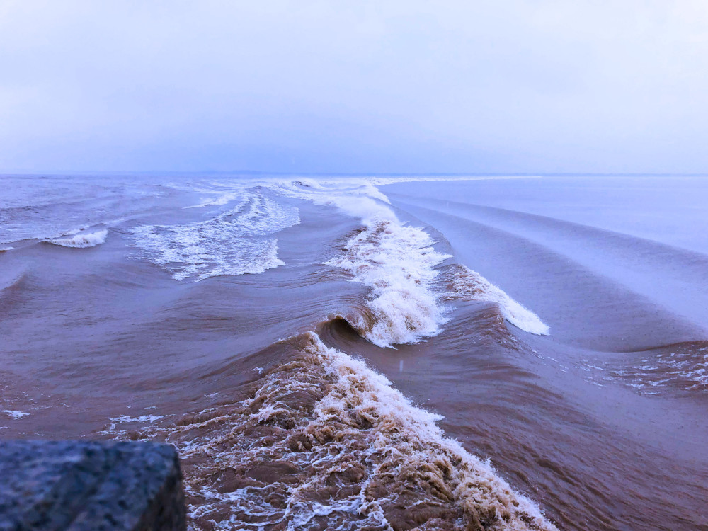海宁盐官观潮记来疑沧海尽成空万面鼓声中