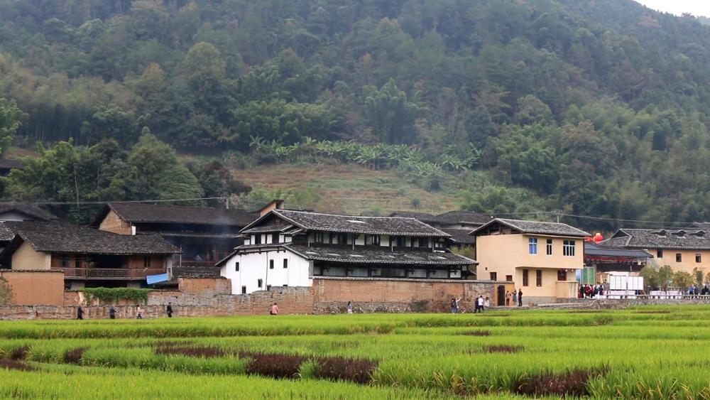 探访福建南平贫困村,现场却是另一番景象,到处是民宿和酒吧