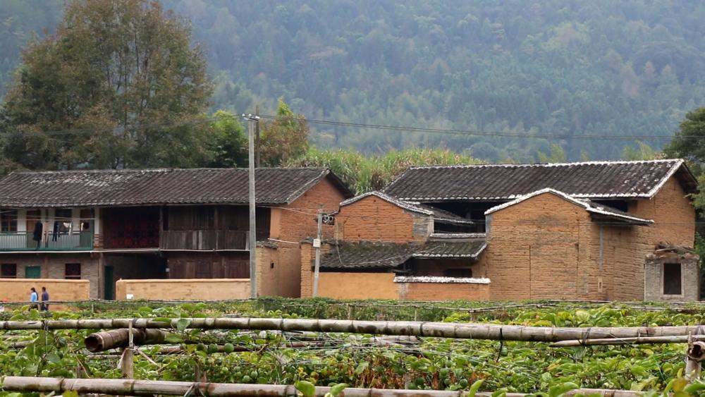 探访福建南平贫困村,现场却是另一番景象,到处是民宿和酒吧