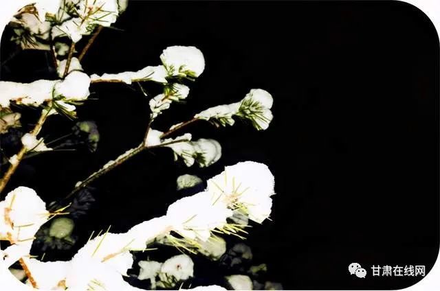 甘肃公示丁富强,王志坚,唐斫,盛云峰,穆晓辉等50人(简历)