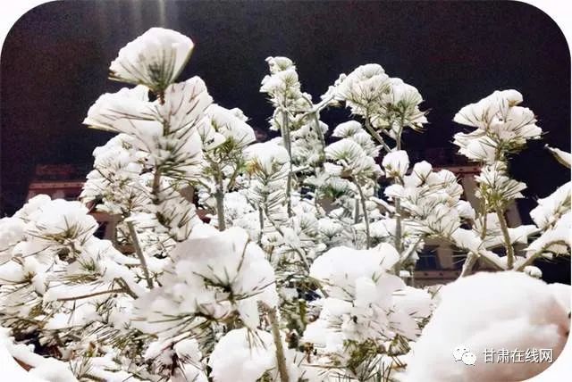 甘肃公示丁富强,王志坚,唐斫,盛云峰,穆晓辉等50人(简历)