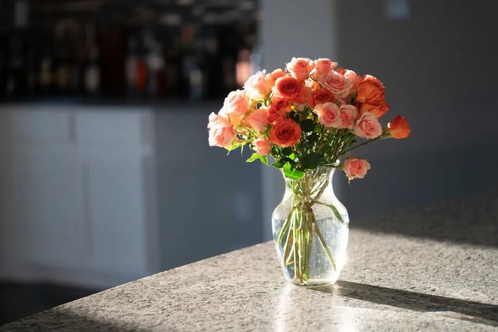 鲜切花怎样才能持久美丽 这些 偏方 你试过吗 腾讯新闻