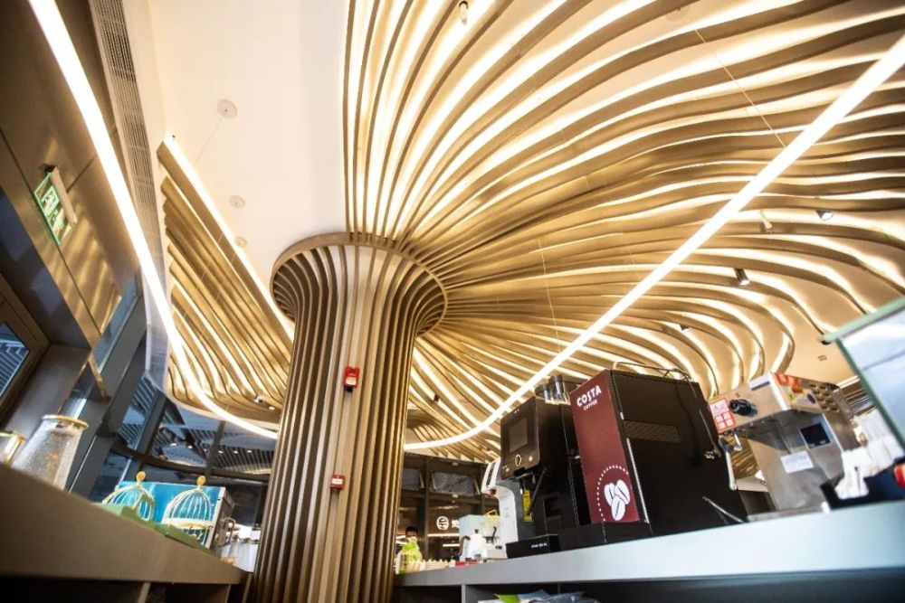 花开南上海书香九棵树九棵树艺术书店即将盛大开放