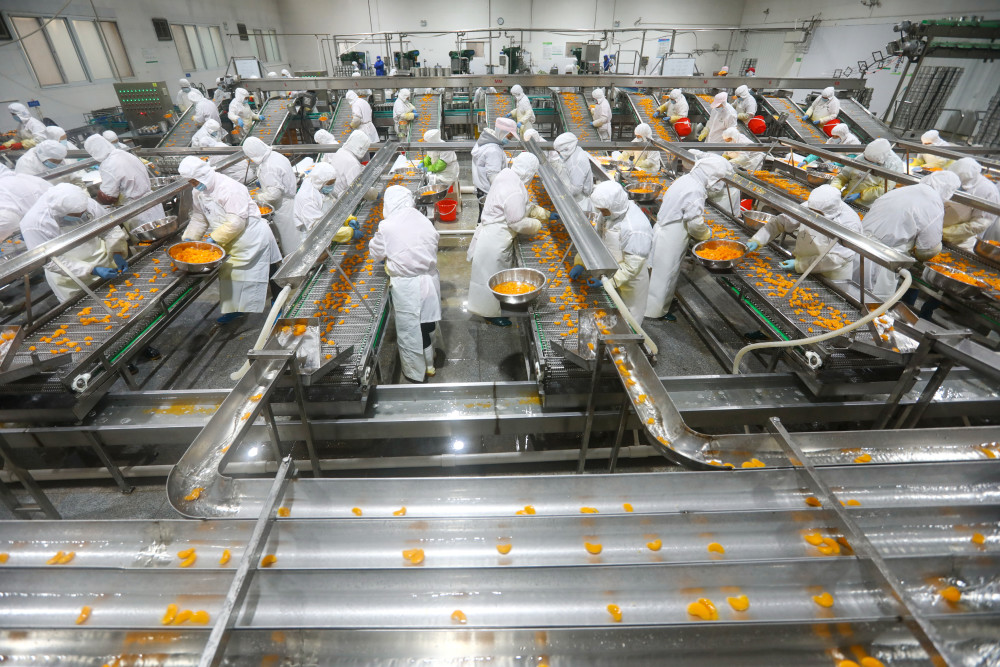 (经济)(5)安徽淮北:延伸果蔬加工产业链 出口罐头生产忙