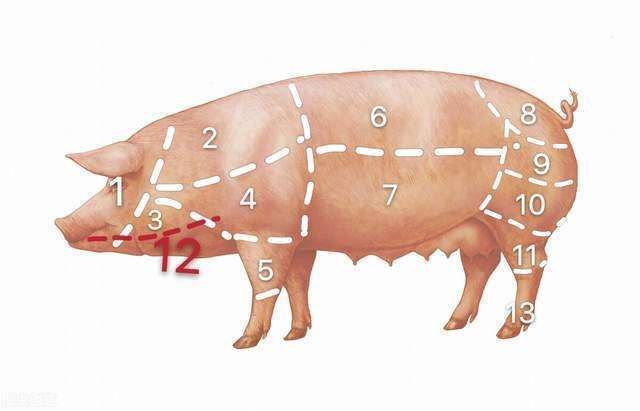 是指猪头与猪干连接部位的颈脖子肉(血脖子肉),这块垃圾肉上面淋巴