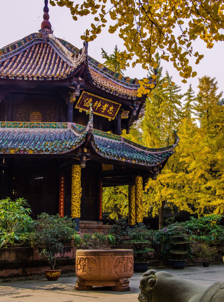 打卡成都银杏叶最佳观赏地,错过再等一年_腾讯新闻