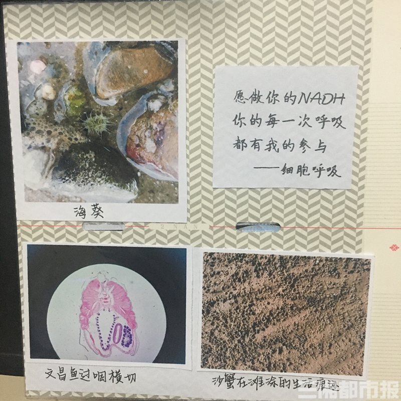 给生物切片写 情书 6名理科女生的别样浪漫 腾讯新闻