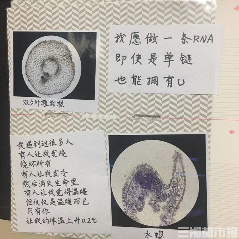 给生物切片写 情书 6名理科女生的别样浪漫 腾讯新闻