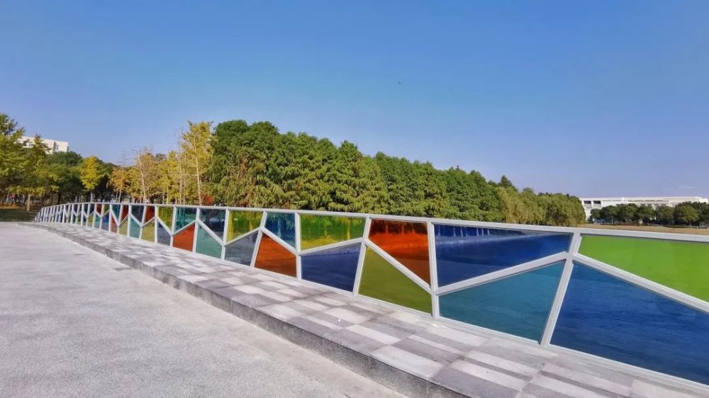 临港城市公园5座景观桥开放或蜿蜒或飞跨创意各不同