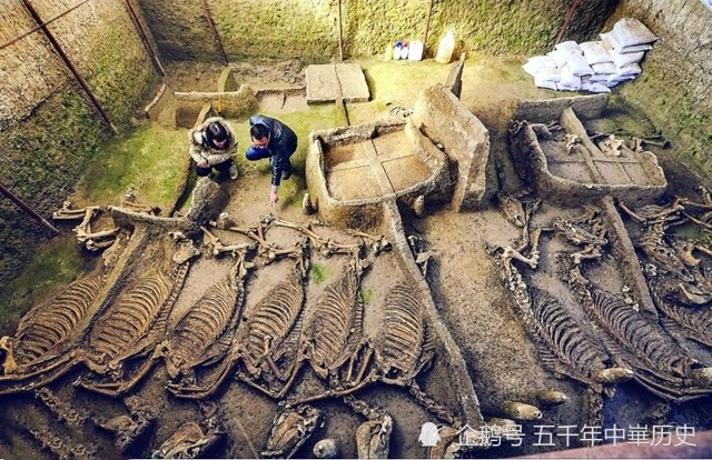 河南伊川徐阳墓地出土春秋时期戎人王级大墓距今大约2600多年