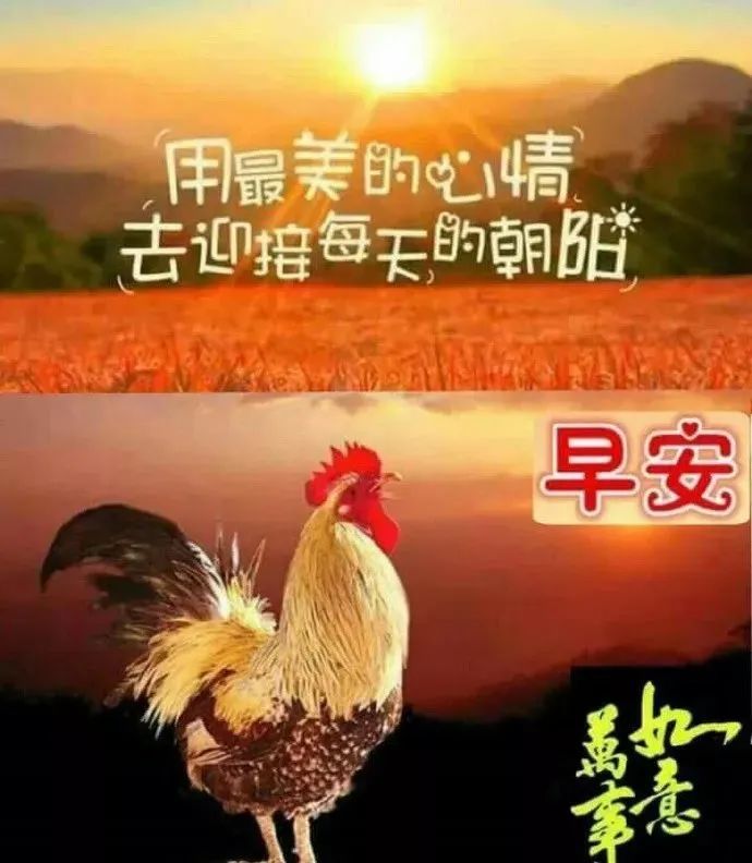 虎年全新问候早上好的语言图片温馨祝福语微信早晨好表情动图