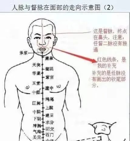 武术中的小周天任督二脉解密